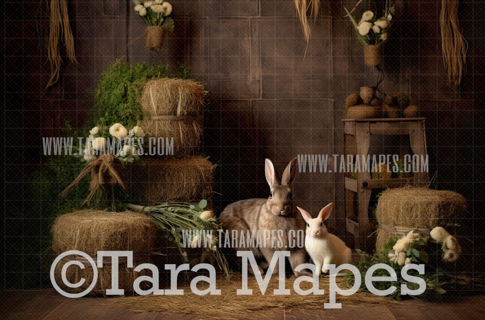 Easter Bunnies Digital Backdrop - Easter Digital Background - Easter Arch Digital Background JPG