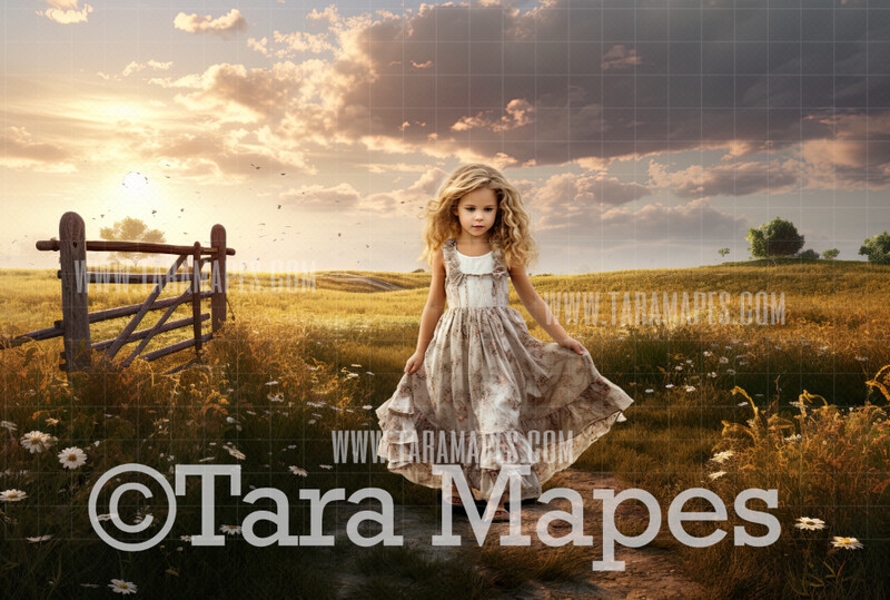 Country Path Digital Backdrop - Country Digital Background JPG