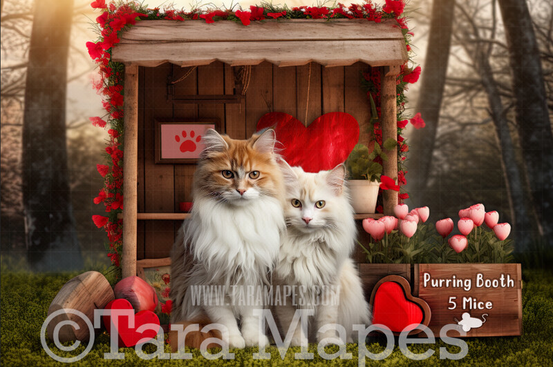 Cat Kissing Booth - Valentine Background - Pet Valentines Day - Kiss Purring Booth - Digital Background / Backdrop