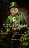 St. Patrick&#39;s Day Leprechaun Pet Portrait PSD Template- Pet Painting Portrait Irish St Paddy&#39;s  - Layered PSD Digital Background Backdrop