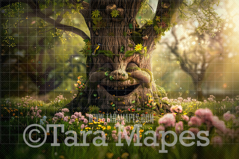 Enchanted Tree with Face - Tree Face in Enchanted Forest - Talking Tree Digital Background Backdrop - Friendly Tree Digital Backdrop