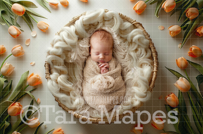Soft Spring Newborn Digital Background - Newborn Tulips Digital Backdrop (JPG file)