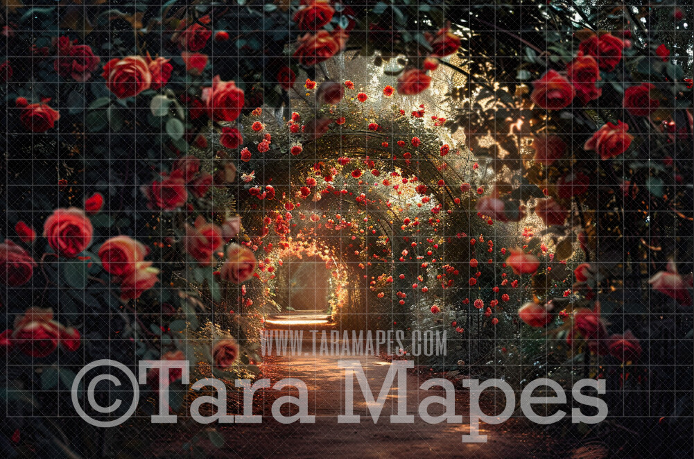 Rose Tunnel - Spring Digital Background Backdrop - Fairytale Digital Backdrop