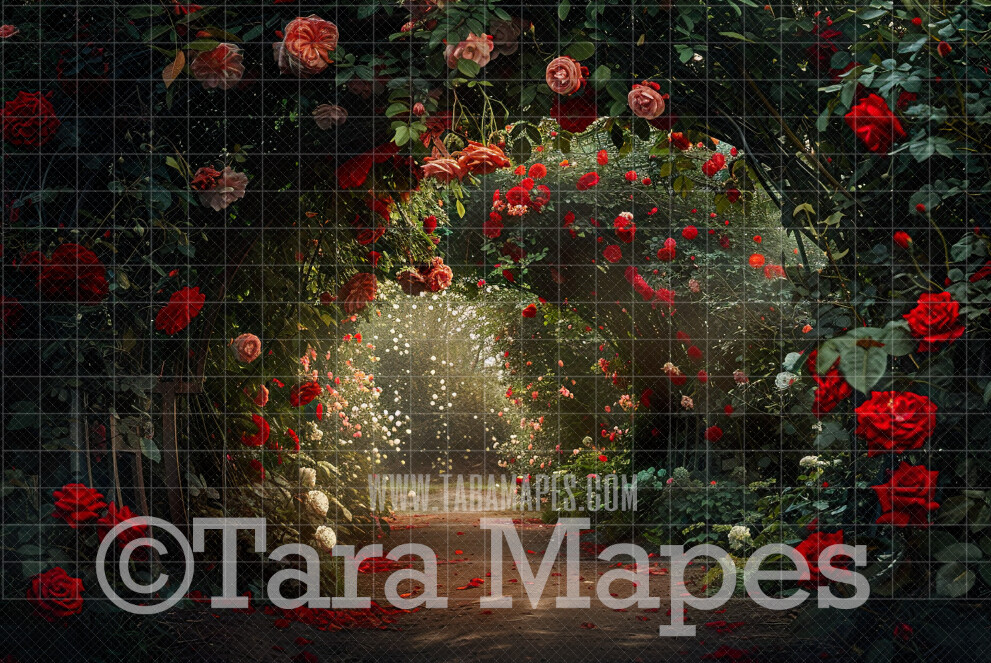 Rose Tunnel - Spring Digital Background Backdrop - Fairytale Digital Backdrop