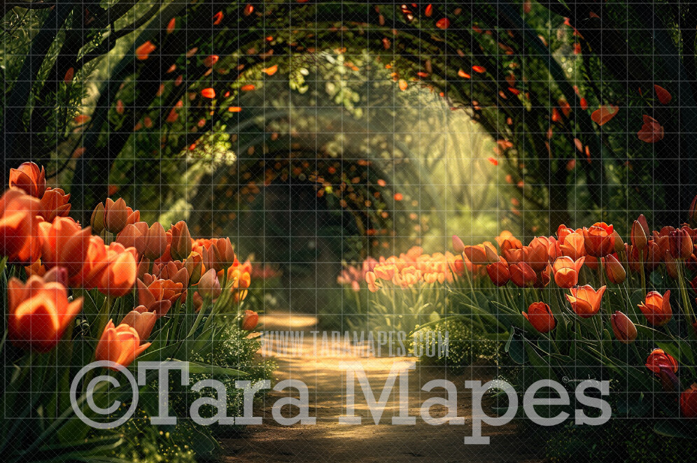 Tulip Tunnel - Spring Digital Background Backdrop - Fairytale Digital Backdrop