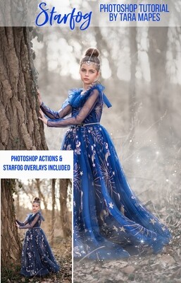 Starfog Painterly Photoshop Tutorial - Photoshop Action Workflow Set Included -- Fine Art Painterly Tutorial by Tara Mapes