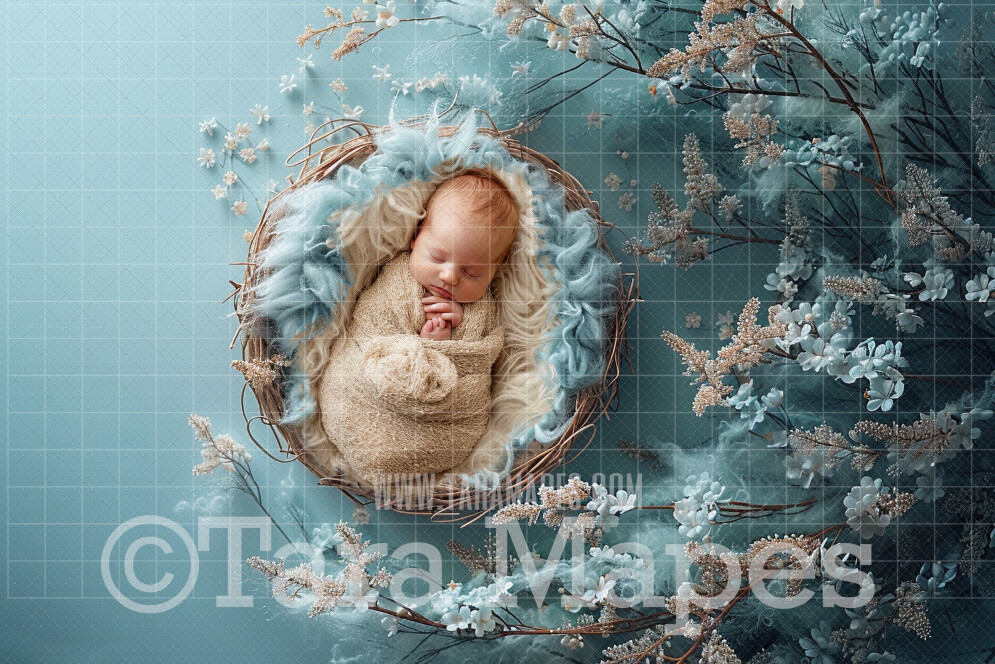 Soft Powder Blue Spring Newborn Digital Background - Newborn  Digital Backdrop (JPG file)