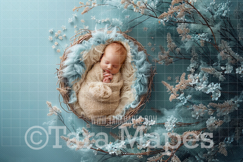 Soft Powder Blue Spring Newborn Digital Background - Newborn Digital Backdrop (JPG file)