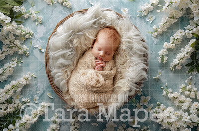 Soft Flowers Spring Newborn Digital Background - Newborn  Digital Backdrop (JPG file)