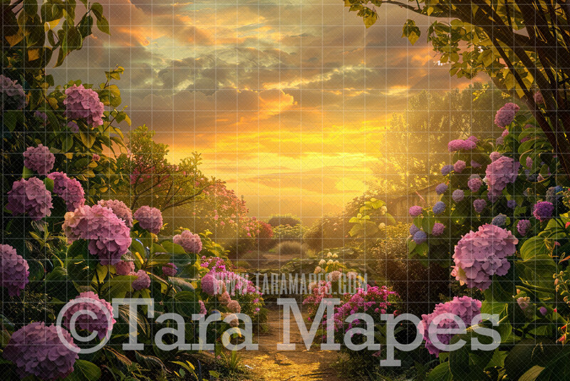 Hydrangea Path Digital Backdrop - Hydrangea Flowers Digital Background