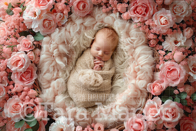 Soft Pink Roses Spring Newborn Digital Background - Newborn Digital Backdrop (JPG file)