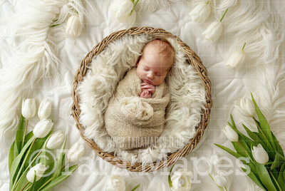 Ivory Tulips Spring Newborn Digital Background - Newborn  Digital Backdrop (JPG file)