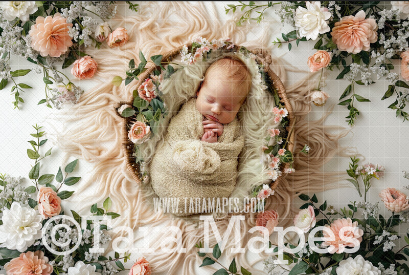 Ivory Tulips Spring Newborn Digital Background - Newborn Digital Backdrop (JPG file)
