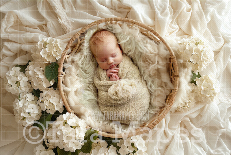 Ivory Hydrangeas Spring Newborn Digital Background - Newborn Digital Backdrop (JPG file)