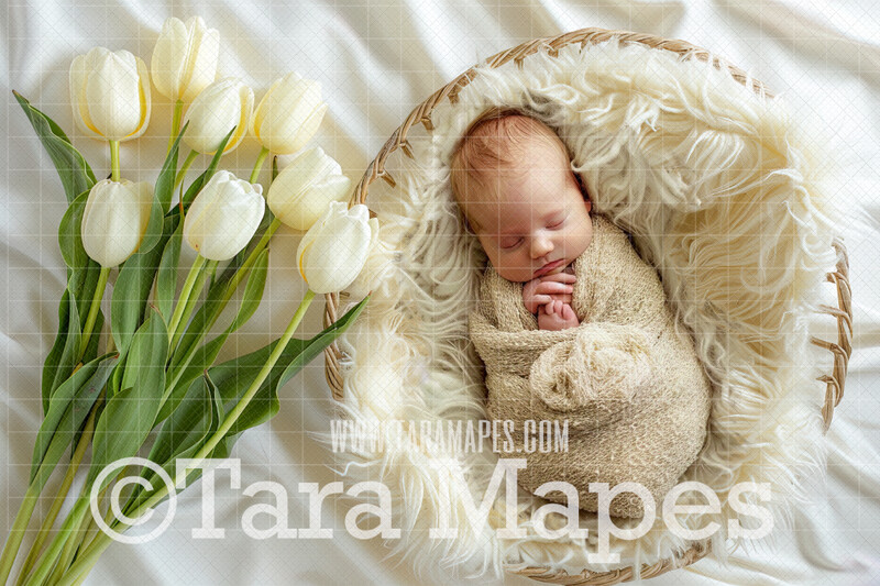 Ivory Tulips Soft Spring Newborn Digital Background - Newborn Digital Backdrop (JPG file)