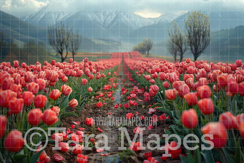 Spring Flower Path Digital Background - Tulips Digital Backdrop