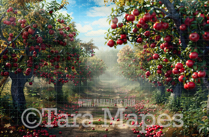 Apple Orchard Path - Spring Background - Creamy Background Apple Picking - Digital Background / Backdrop