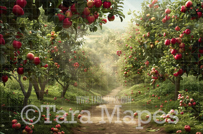 Apple Orchard Path - Spring Background - Creamy Background Apple Picking -  Digital Background / Backdrop