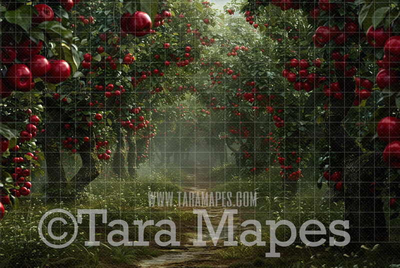 Apple orchard digital backdrop 