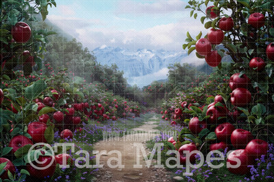 Apple Orchard Path - Spring Background - Creamy Background Apple Picking -  Digital Background / Backdrop
