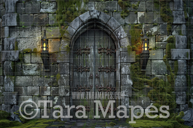 Castle Door Digital Background - Wizard Castle Digital Backdrop
