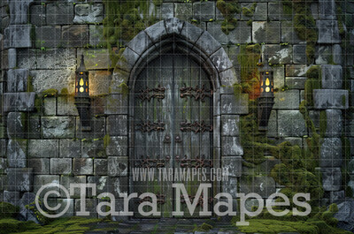 Castle Door  Digital Background - Wizard Castle Digital Backdrop