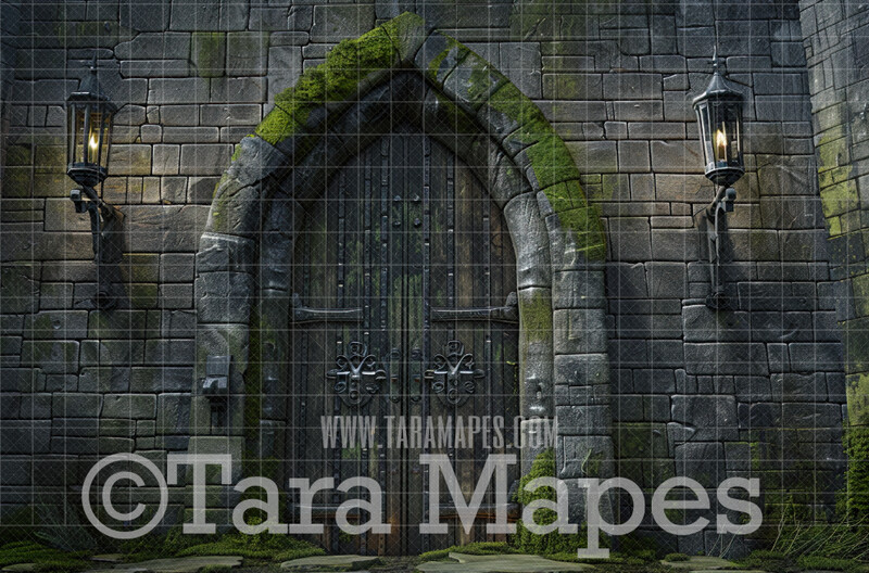 Castle Door Digital Background - Wizard Castle Digital Backdrop