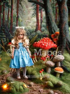 Alice Digital Backdrop - Image of Felted Wonderland  Enchanted Mushrooms - JPG File - Wonderland Digital Background