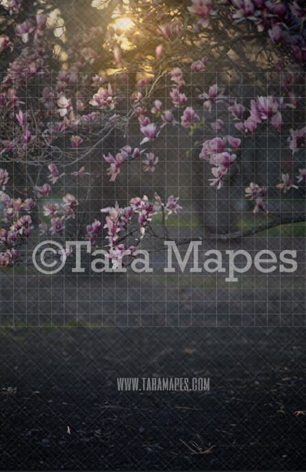 Magnolia Tree Digital Backdrop - Pink Tree Digital Background JPG