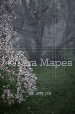 Cherry Tree Digital Backdrop -  Pink Tree Digital Background JPG