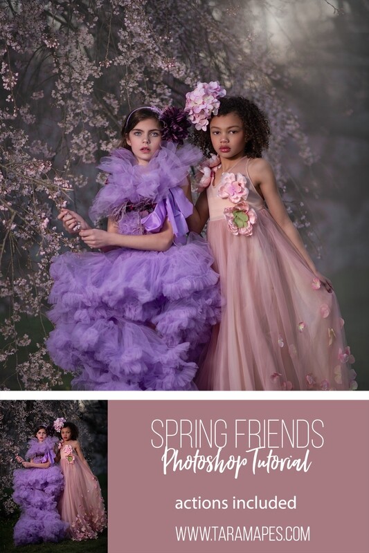 Spring Friends Painterly Photoshop Tutorial - Photoshop Action Workflow Set Included -- Fine Art Painterly Tutorial by Tara Mapes