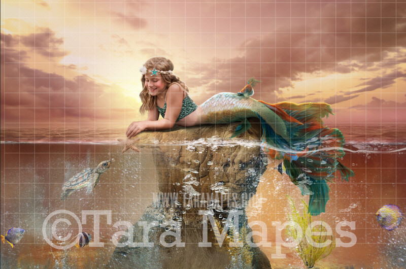 Mermaid Rock in Ocean with Fish - Underwater Mermaid Rock - Beautiful Mermaid Scene - JPG File Digital Background