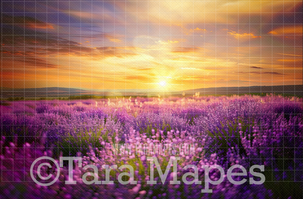 Painterly Field of Flowers Digital Backdrop - Flower Field Digital Background JPG