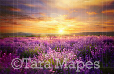 Painterly Field of Flowers Digital Backdrop -  Flower Field Digital Background JPG