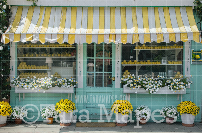 Lemon Shop - Spring Background - Lemonade Store Digital Background / Backdrop