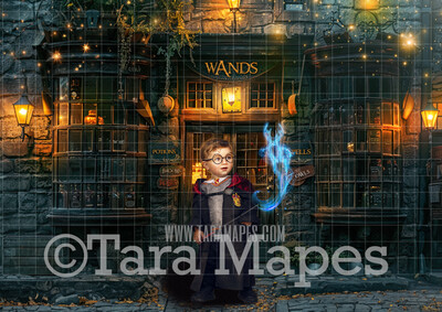 Wizard Wand Shop Digital Backdrop - Wizard Shop - Magic Shop - Magical Scene  - Wizard Digital Background