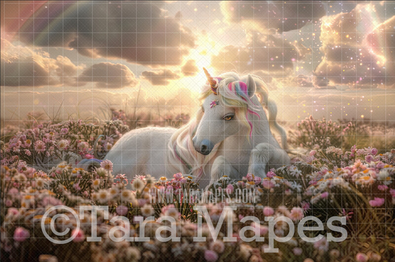 Unicorn Digital Backdrop - Unicorn in Magical Field of Flowers - Warm Sunlit Unicorn Digital Background JPG