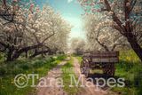 Country Path with Wagon Digital Backdrop - Cherry Blossom Trees Spring Background -   -  Digital Background / Backdrop