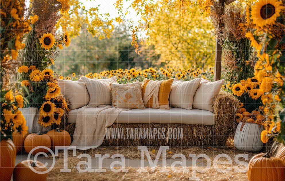 Fall Sunflower Couch with Flowers Digital Background - Autumn Fall  Sofa Digital Background Backdrop