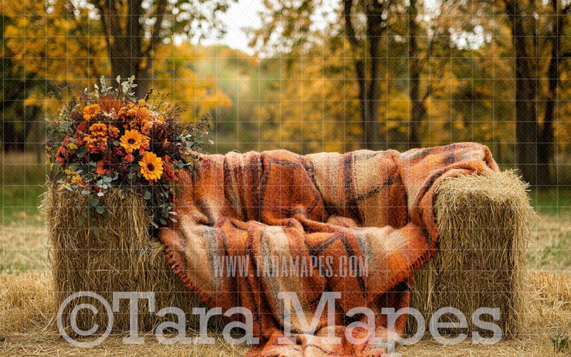 Fall Sofa Digital Background -  Autumn Couch Digital Background Backdrop