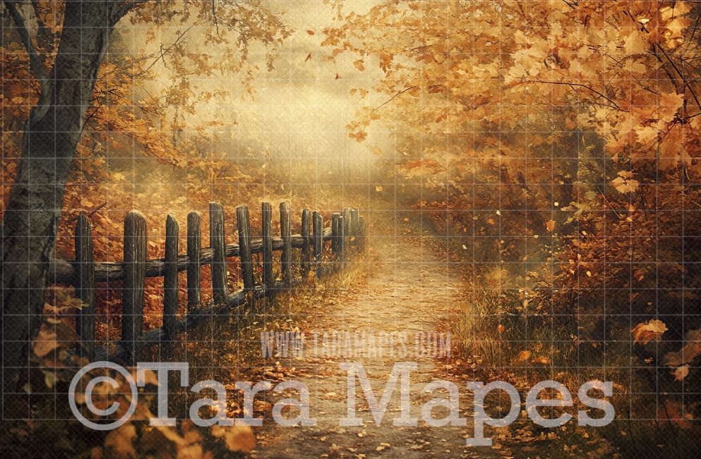 Fall Path Digital Backdrop -  Autumn Path in Woods Digital Backdrop - Fall Autumn Digital Background - Free Leaves PNG included