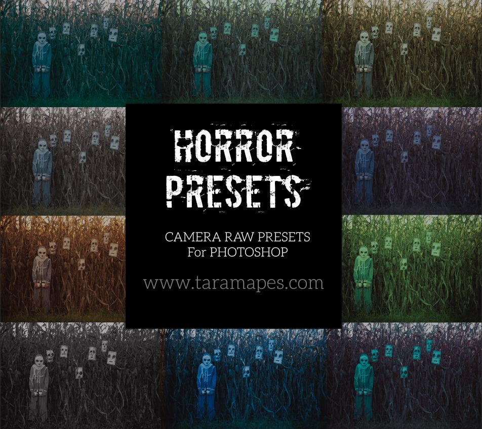 12 Horror Color Grading Camera Raw Photoshop Presets -  Instructions Included - Video Demo in Description