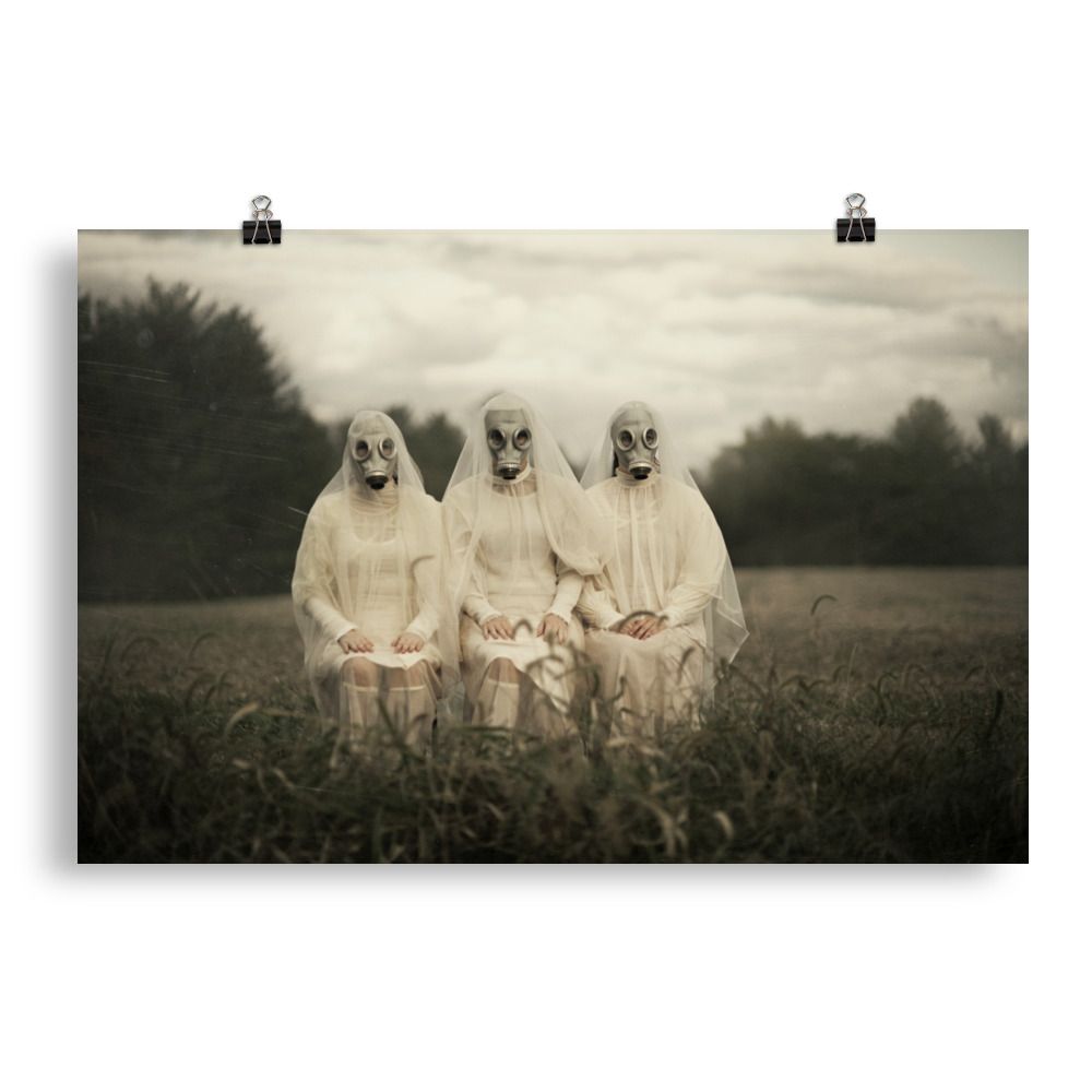 The Board - Photo paper poster