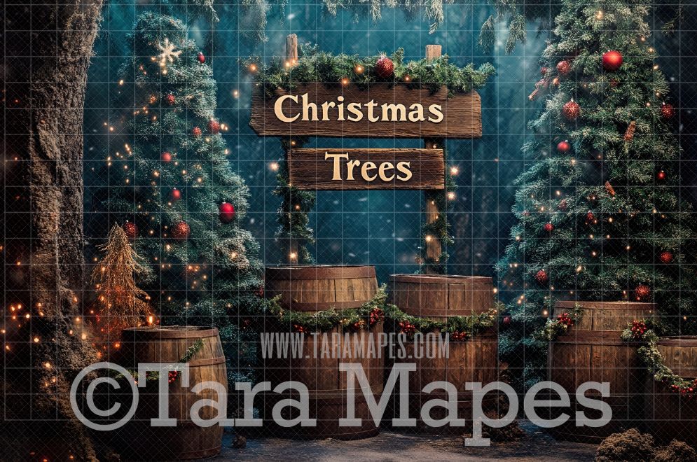 Festive Christmas Tree Farm Digital Background JPG