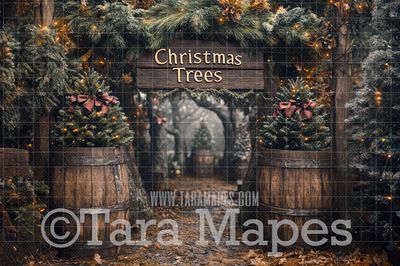 Christmas Tree Farm Digital Background JPG