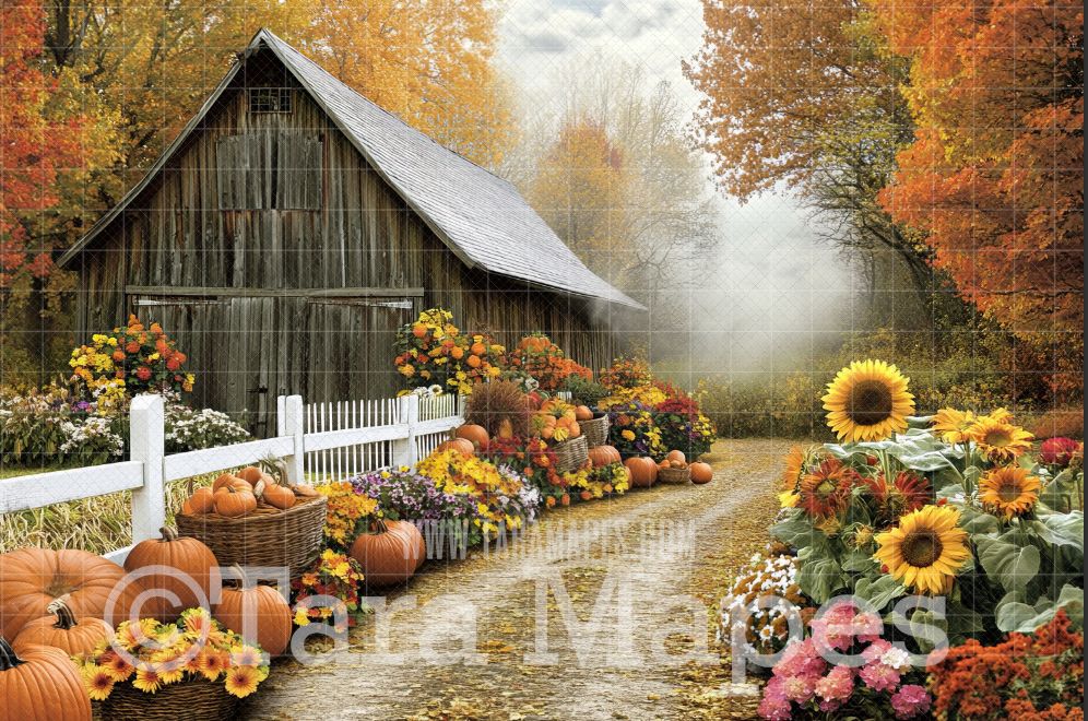 Fall Barn Digital Backdrop -  Autumn Path with Barn Digital Backdrop - Fall Autumn Digital Background - Free Leaves PNG included