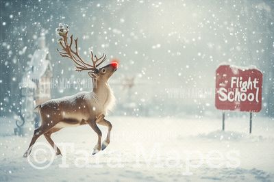 Reindeer Digital Backdrop - Free Snow overlay - Reindeer Flight School Christmas Holiday Digital Background Backdrop JPG