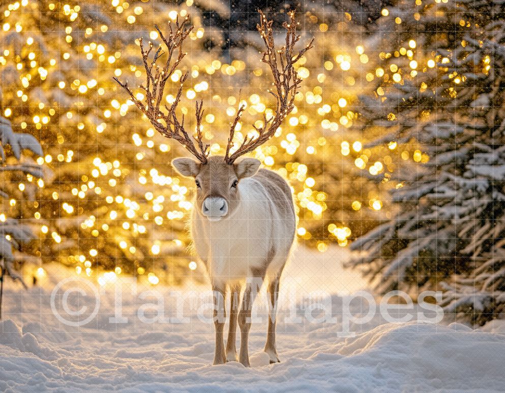 Reindeer Digital Backdrop - Free Snow overlay - Reindeer Flight School Christmas Holiday Digital Background Backdrop JPG