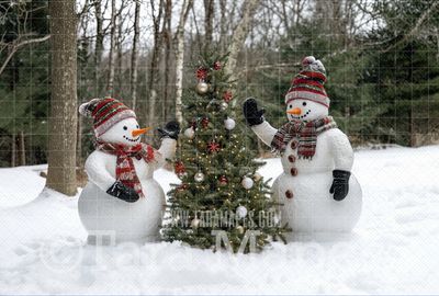 Snowman Family Decorating Tree Digital Backdrop - Free Snow overlay - Christmas Holiday Digital Background Backdrop JPG