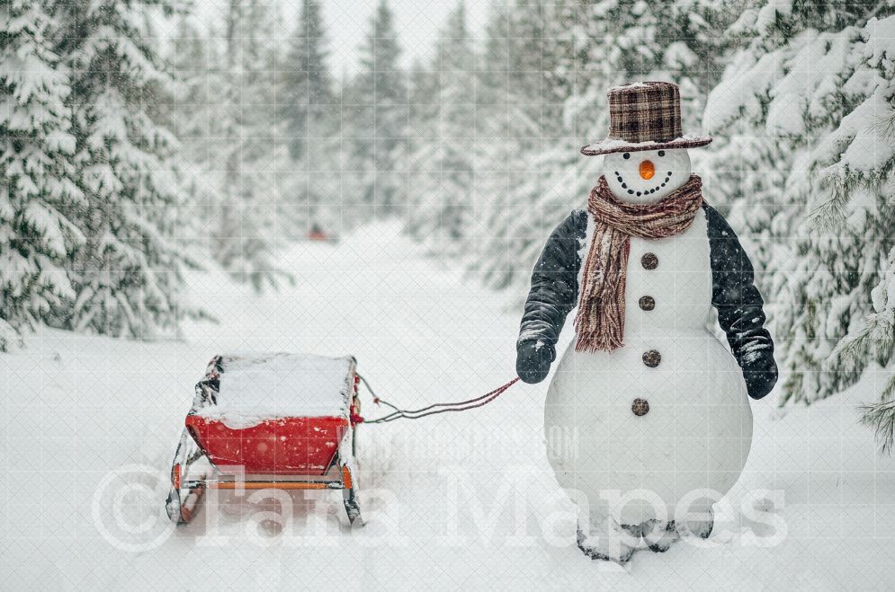 Snowman Pulling Sled Digital Backdrop - Free Snow overlay - Christmas Holiday Digital Background Backdrop JPG
